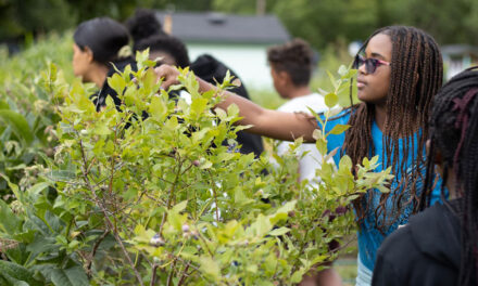 Camp ELSO Gives BIPOC Students A Month of Science Learning in Nature