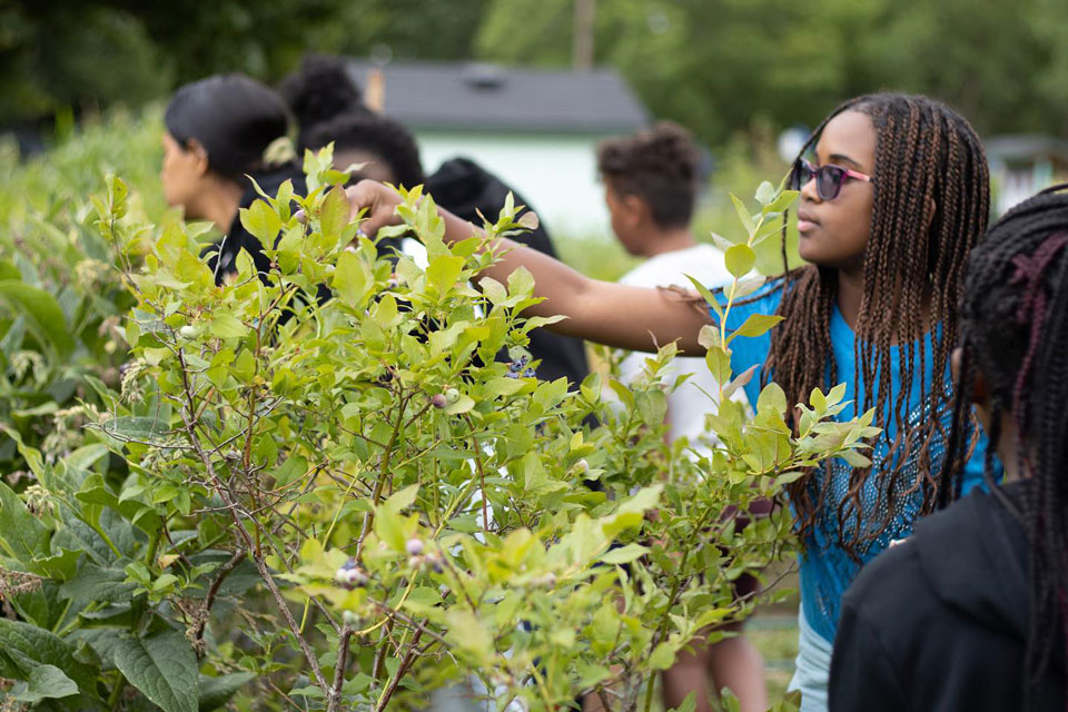 Camp ELSO Gives BIPOC Students A Month of Science Learning in Nature