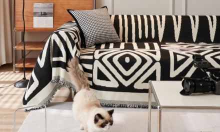 Not Your Grandmama’s Slipcovers! 13 Stylish Ways to Fashion Your Couch and Sofa