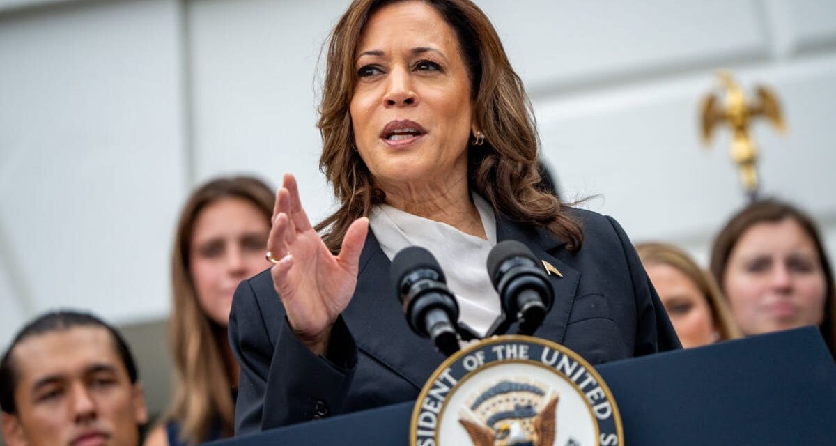 Backstabbed by Subordinates, Leaders in the Workplace, Black Female Bosses Worry Kamala Harris Will Experience Worse In the White House