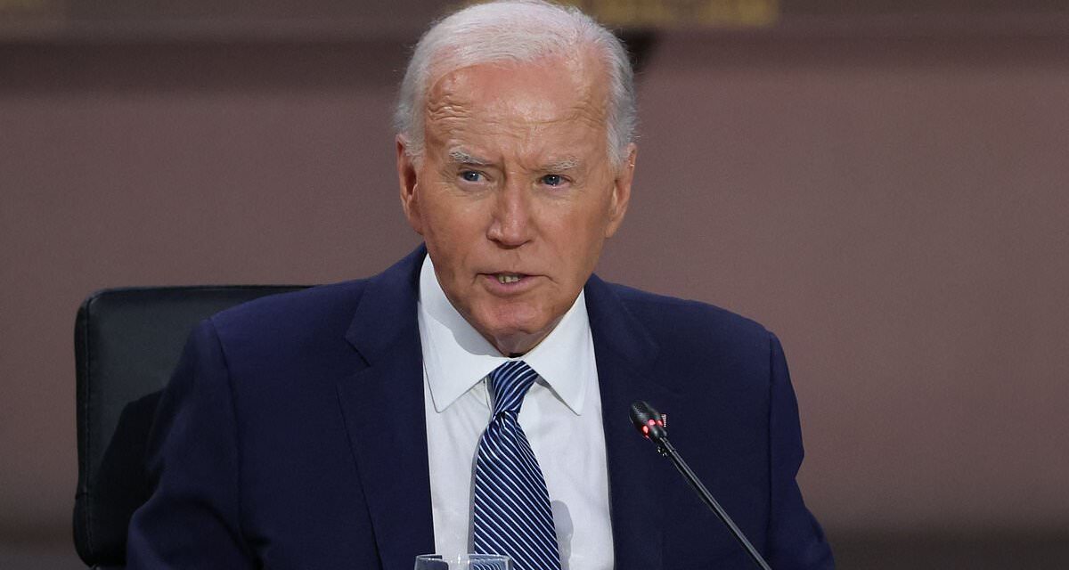 Top Democrat warns Biden will lose to Trump by a &apos;landslide&apos;