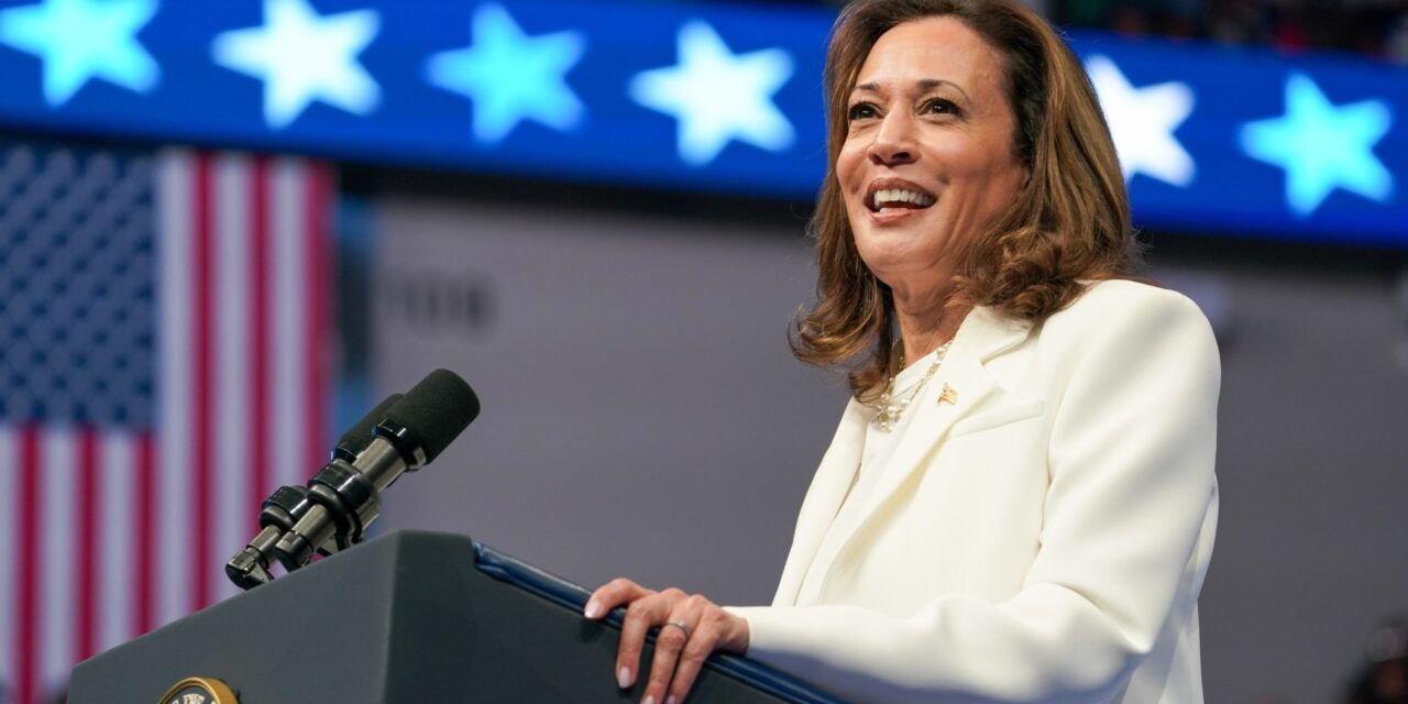 ‘We have 68 days to go’: VP Kamala Harris solo rally in Savannah brings large crowd out in rain