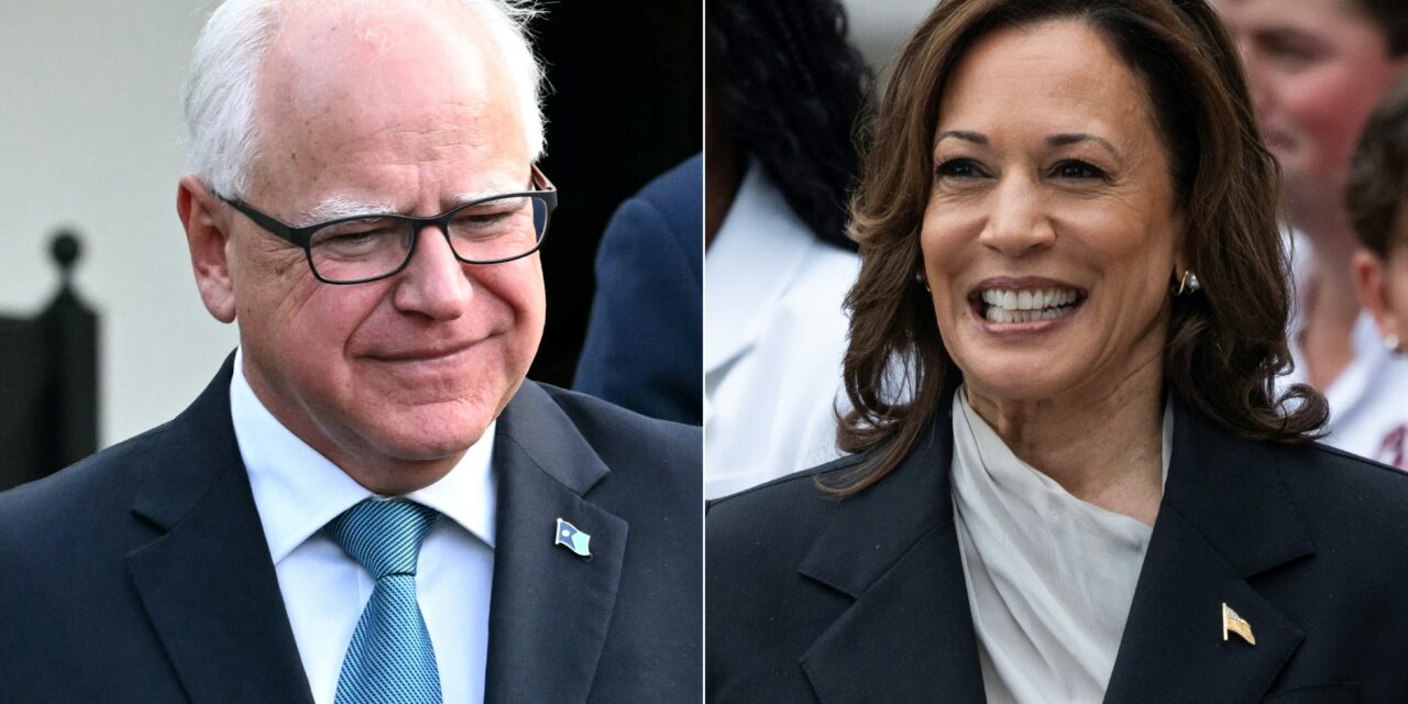 Harris–Walz Generating Enthusiasm Akin to Obama Campaign: Democratic Strategist