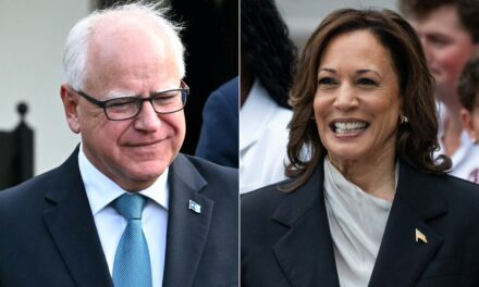 Harris–Walz Generating Enthusiasm Akin to Obama Campaign: Democratic Strategist