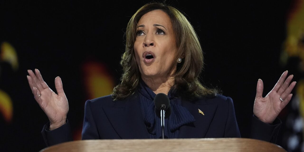 Vice President Kamala Harris’s agenda for Black voters