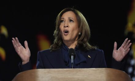 Vice President Kamala Harris’s agenda for Black voters