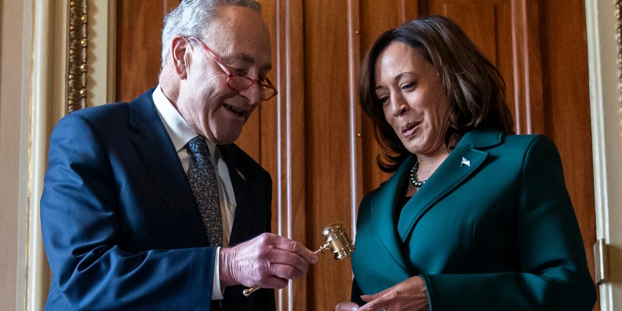 Watch: Schumer says ‘leading Republican’ admits Dems will win election amid Kamala Harris enthusiasm