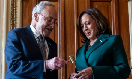 Watch: Schumer says ‘leading Republican’ admits Dems will win election amid Kamala Harris enthusiasm