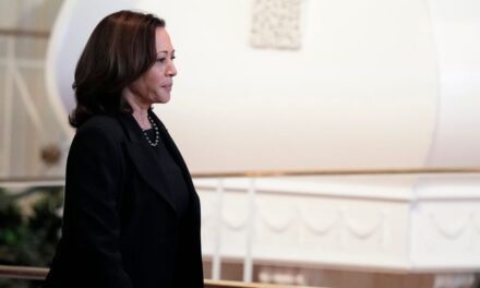 Black church leaders say Harris is ‘perfect warrior’ to help them take on Christian nationalism