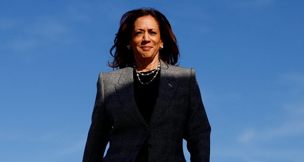 Kamala Harris responds to Michelle Obama questioning &apos;higher standard&apos;