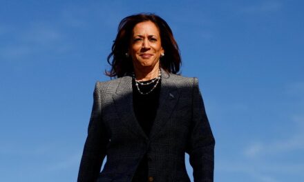 Kamala Harris responds to Michelle Obama questioning &apos;higher standard&apos;