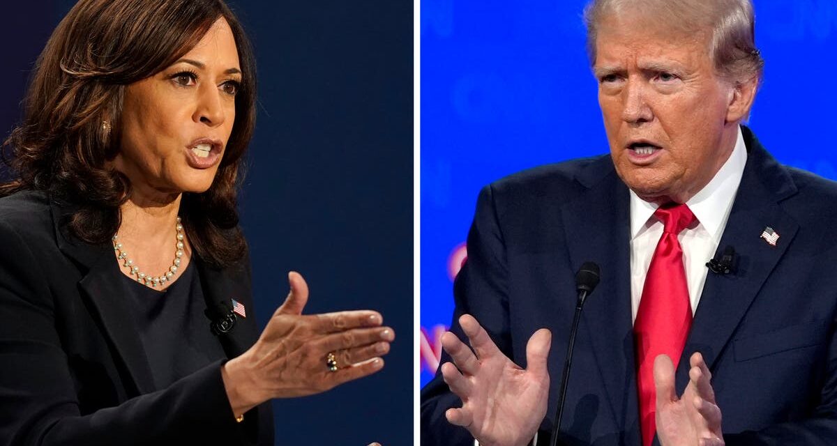 How Trump vs Harris became the first ever bitcoin election