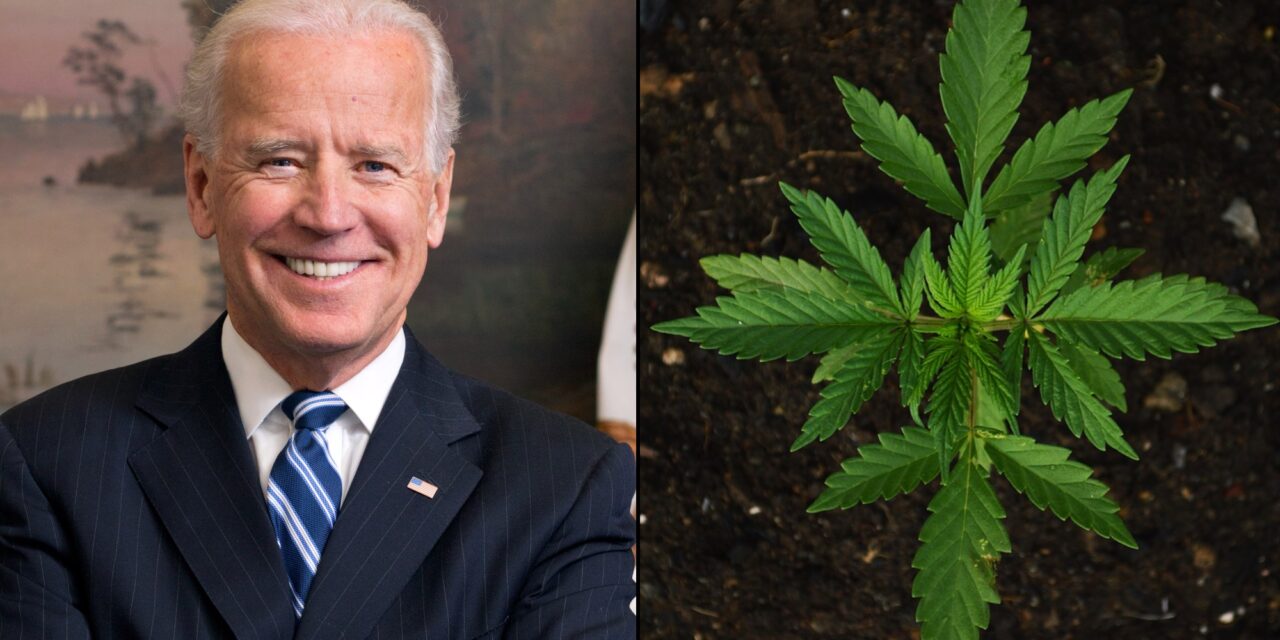 Congressional Lawmakers Push Biden To Build On Marijuana Pardons With Expanded Clemency Effort Before He Leaves Office