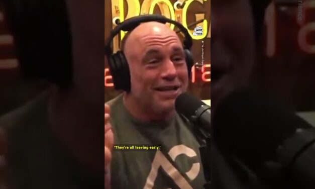 Joe Rogan Sounds Off on Kamala Harris: ‘She’s Nailing It’