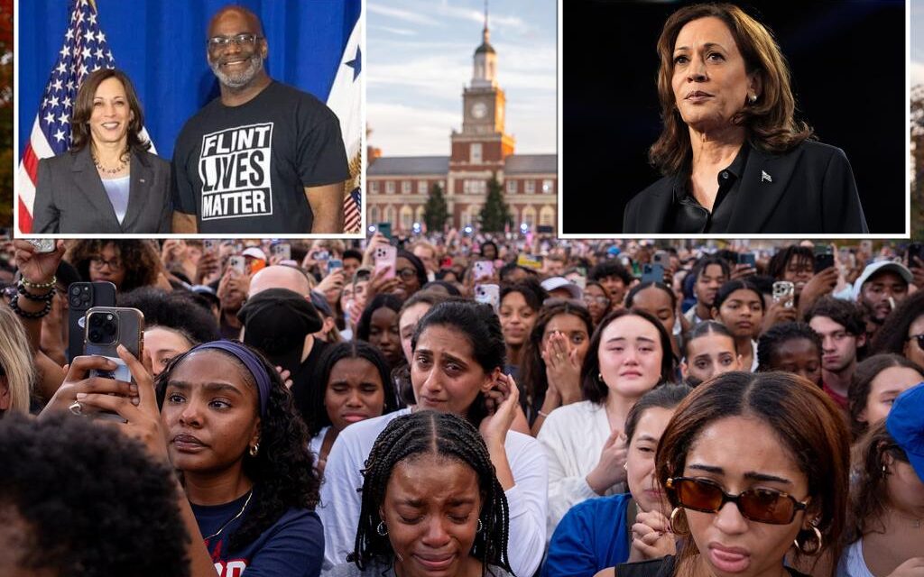 Michigan Dem activist rips Harris for not focusing on black voters — while relying on ‘fake civil rights leaders’ and ‘corrupt officials’