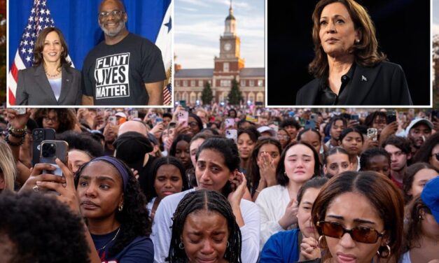 Michigan Dem activist rips Harris for not focusing on black voters — while relying on ‘fake civil rights leaders’ and ‘corrupt officials’