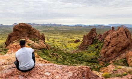 PRESS ROOM: Environmental Advocates Highlight Black Contributions to National Parks Ahead of 2024 Election