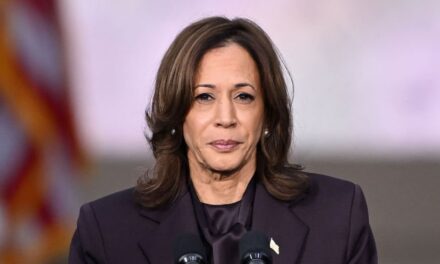 Obama ally pushes Raskin plan for Congress to nullify election, install Harris: ‘Insurrectiony’