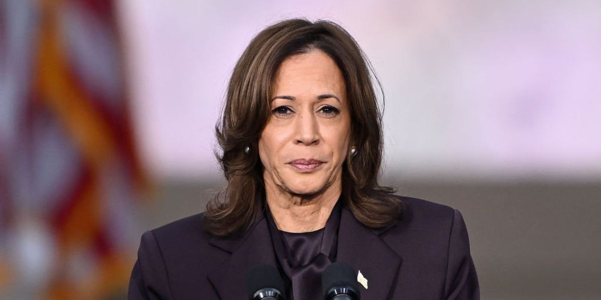 Obama ally pushes Raskin plan for Congress to nullify election, install Harris: ‘Insurrectiony’