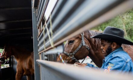 Black cowboys and cowgirls carry on traditions brought to northwest Indiana, Greater Chicago from the South