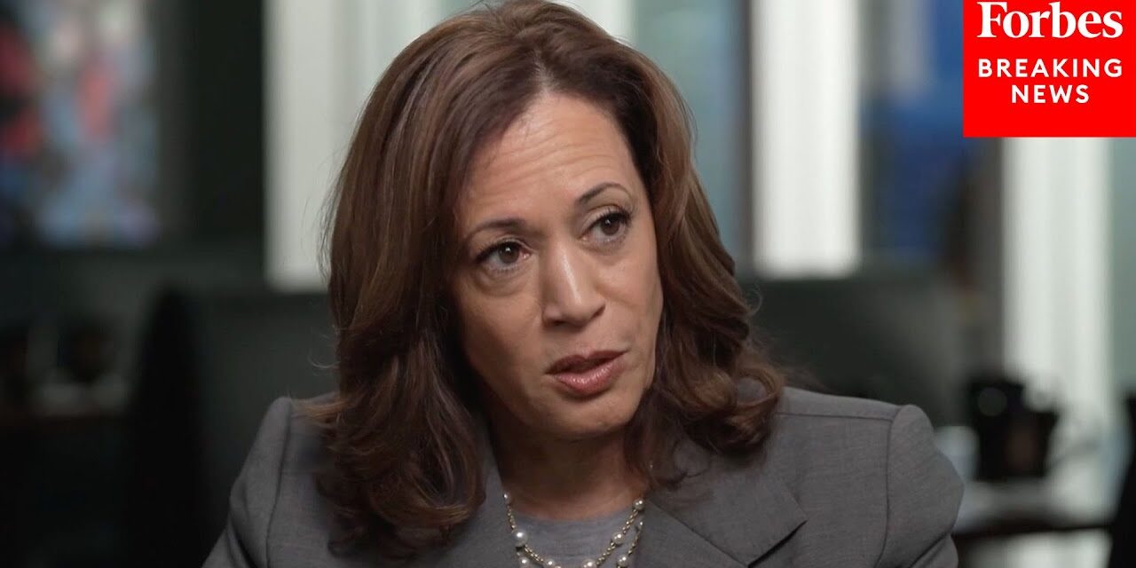 WATCH NOW: First Clip Of Dana Bash Interview With Kamala Harris Released By CNN