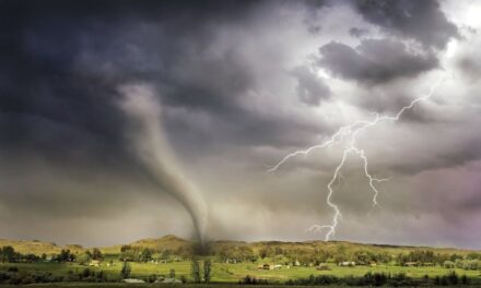 Deadly Tornadoes, Strong Winds Wreak Havoc Across The South