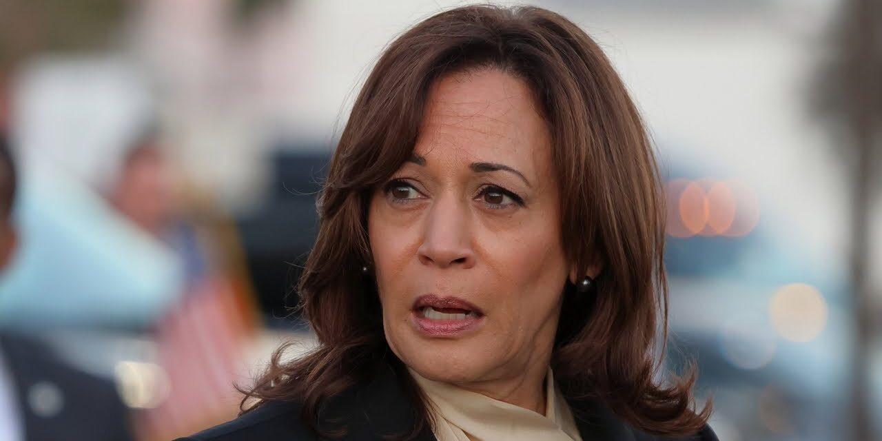 ‘Fright’ in Kamala Harris’ eyes after tough questioning