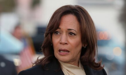 ‘Fright’ in Kamala Harris’ eyes after tough questioning