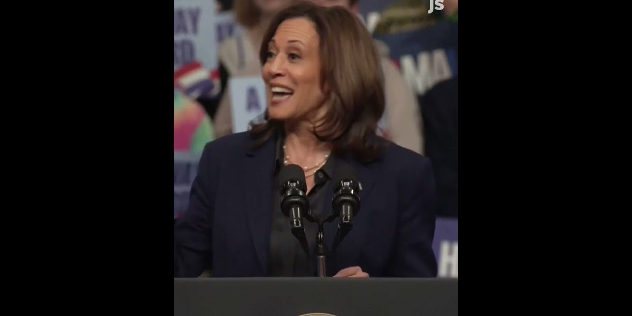 Kamala Harris to hecklers: ‘You guys are at the wrong rally … you meant to go to the smaller one.’