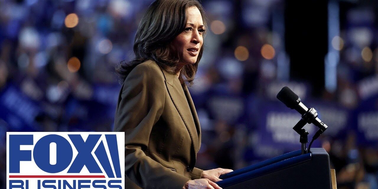 Harris was the ‘worst candidate’ in US history: CEO
