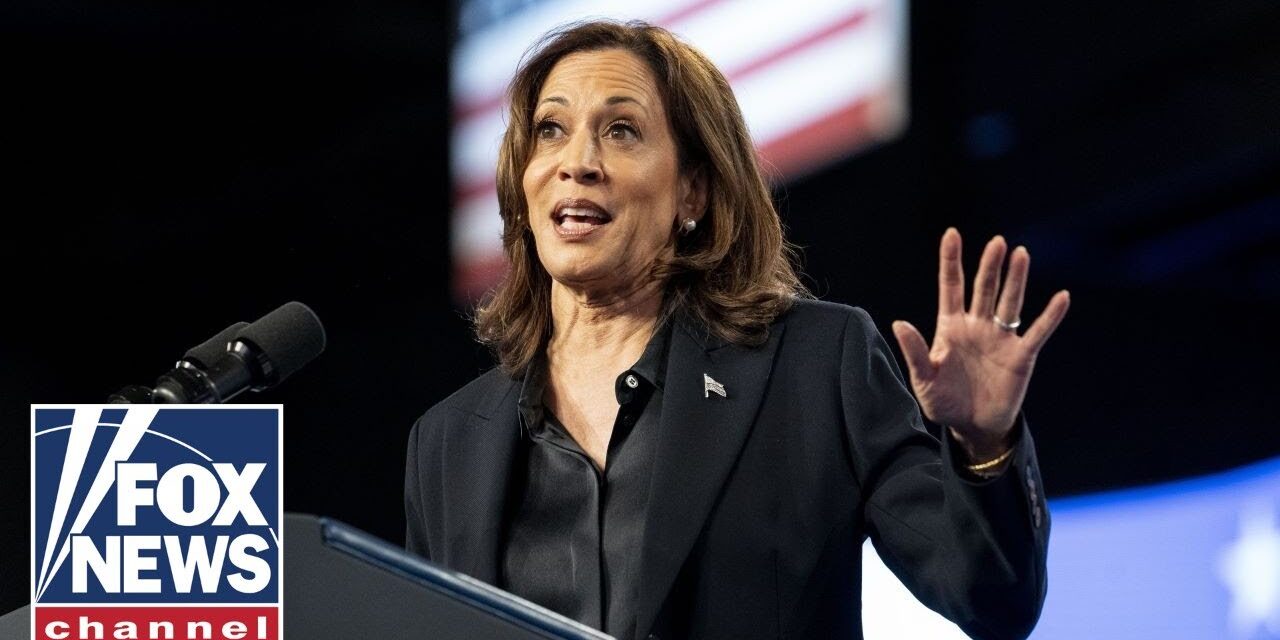 Dem fundraiser RIPS party’s Kamala Harris ‘delusions’: ‘Not what America wants’