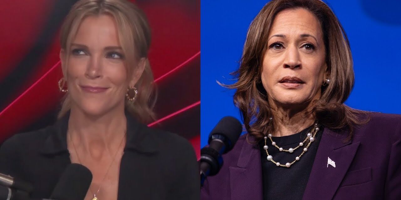 ‘Nobody wants her’: Megyn Kelly brutally roasts Kamala Harris’ trip to Australia