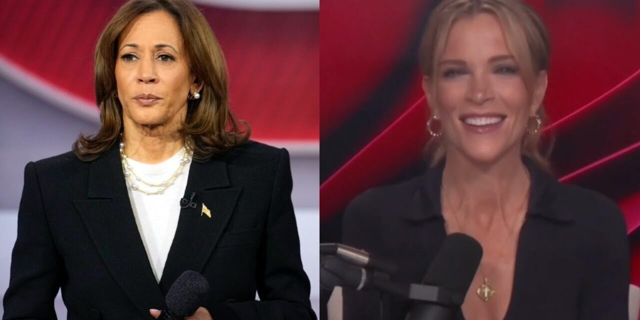 ‘Just more inanities’: Kamala Harris’ incoherent address at Aussie conference ripped apart