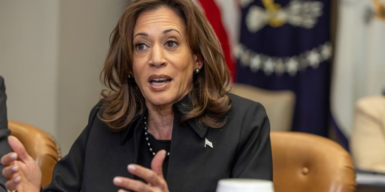 Kamala Harris spouts ‘word salad nonsense’ during wildfire briefing