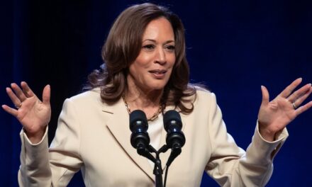 Democrats chose Kamala Harris as presidential candidate ‘because she was a woman’