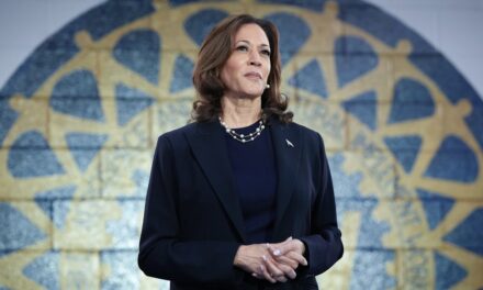 ‘Completely delusional’ Kamala Harris will ‘probably run again’ for President