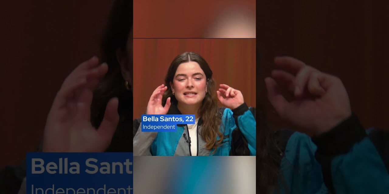 What does the Democratic party stand for in 2025? #politics #democrats