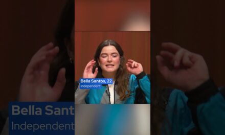 What does the Democratic party stand for in 2025? #politics #democrats