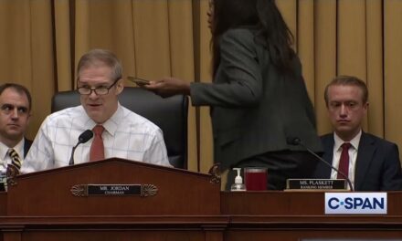 Del. Stacey Plaskett Throws Document at Rep. Mike Johnson.