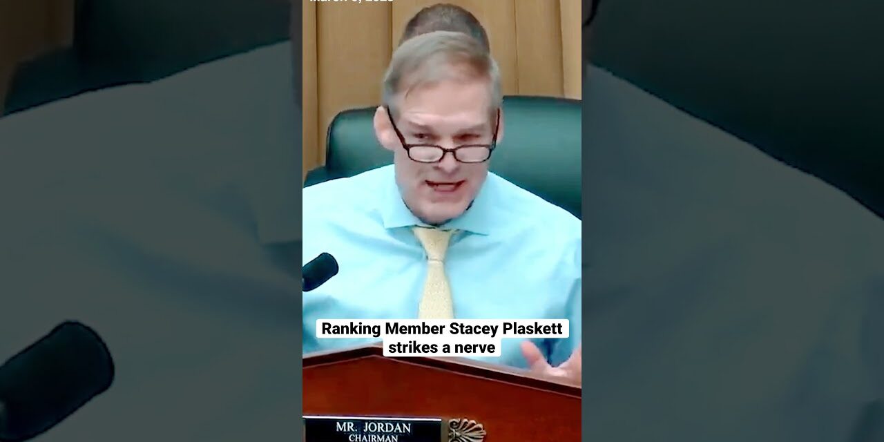 Ranking Member Stacey Plaskett strikes a nerve. #news #politics #oversight