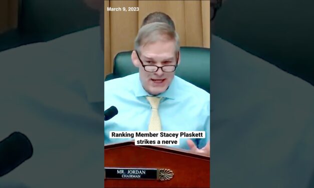 Ranking Member Stacey Plaskett strikes a nerve. #news #politics #oversight